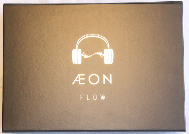 MrSpeakers Aeon Flow Open Back Headphones.