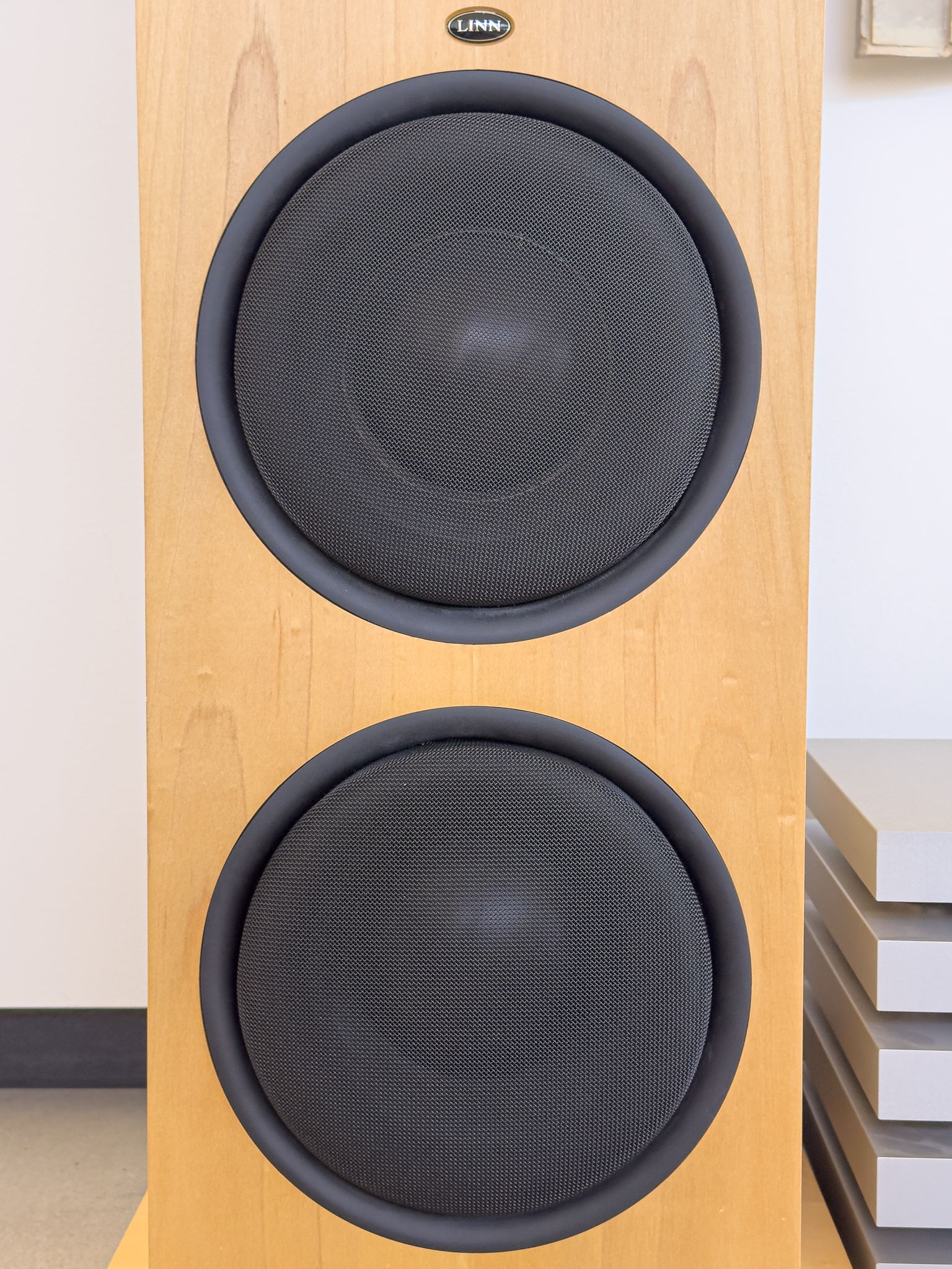 In the lower part of each speaker are a pair long-throw servo controlled bass drivers, each powered by its own internal 1500W switch-mode power amplifier. These deliver a very deep and precise low end that never gets boomy.