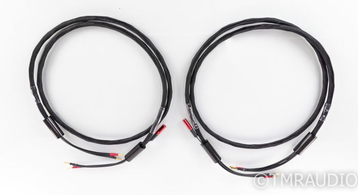 Synergistic Research Atmosphere X Excite Speaker Cables...