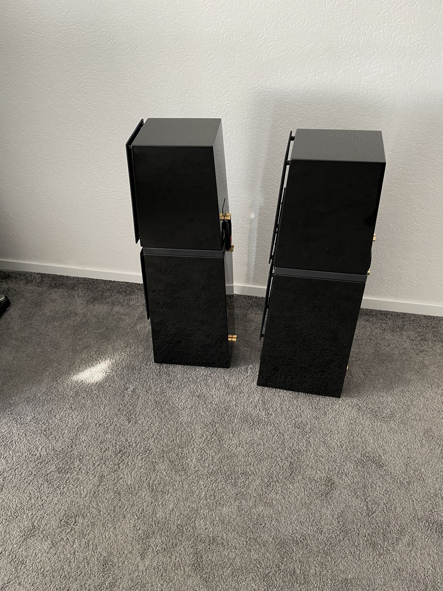 Verity Audio Rienzi speakers in black 3