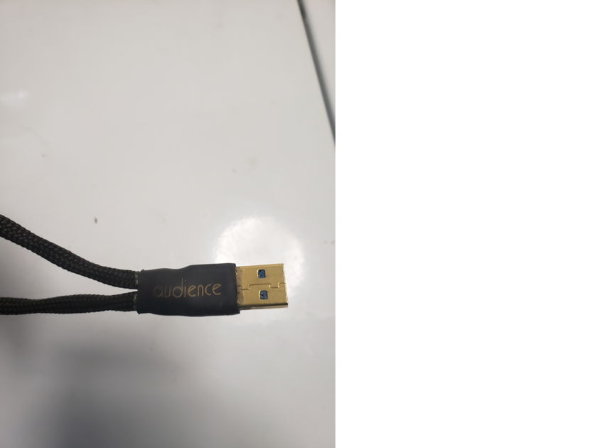 Audience Au24 SE USB Cable Price Lowered For Sale Audiogon
