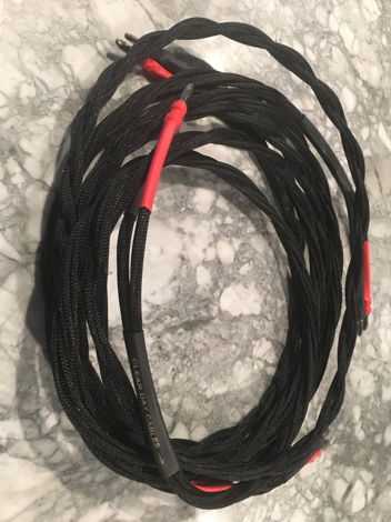 8’ Clear Day Double Shotgun speaker Cables