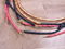 Ensemble Dalvivo audio speaker cables 2,5 metre 3