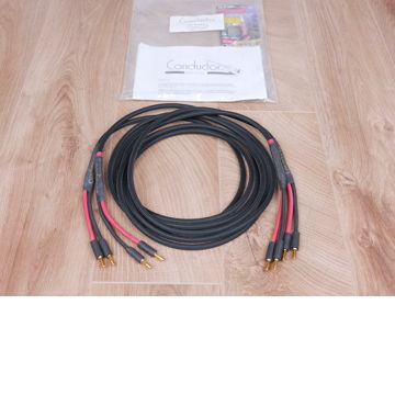 Audience Conductor audio speaker cables 2,5 metre
