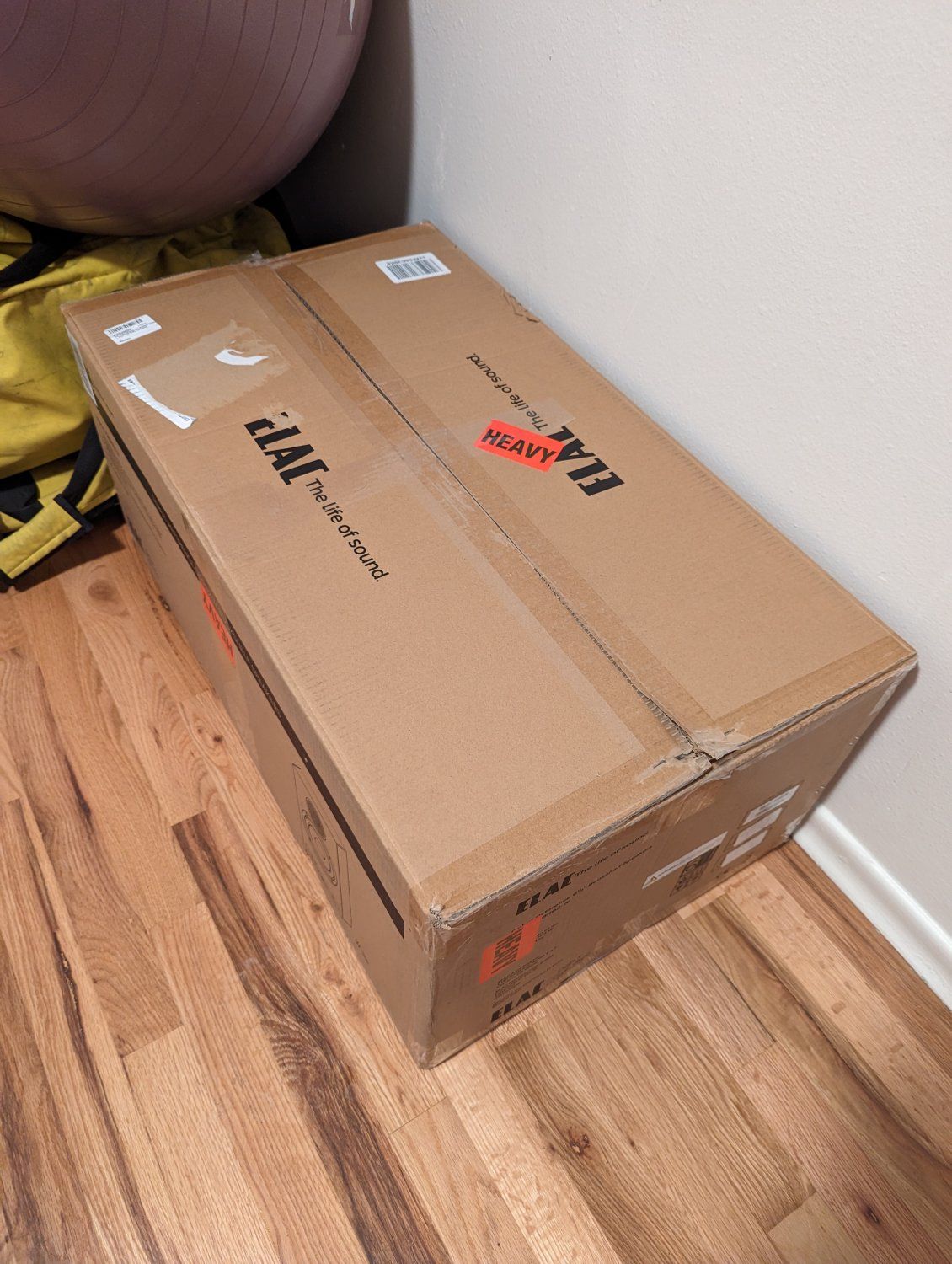 Elac Debut Reference DBR62 BK