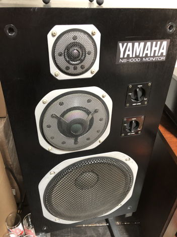 Yamaha NS-1000m