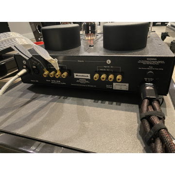 BAT VK-55SE Amplifier (Pair, converted to Monoblocks, b...