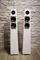 Totem Acoustic Tribe Tower - ICE Finish 3