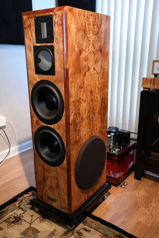 Salk Sound Soundscape 8 Floor Standing Speakers