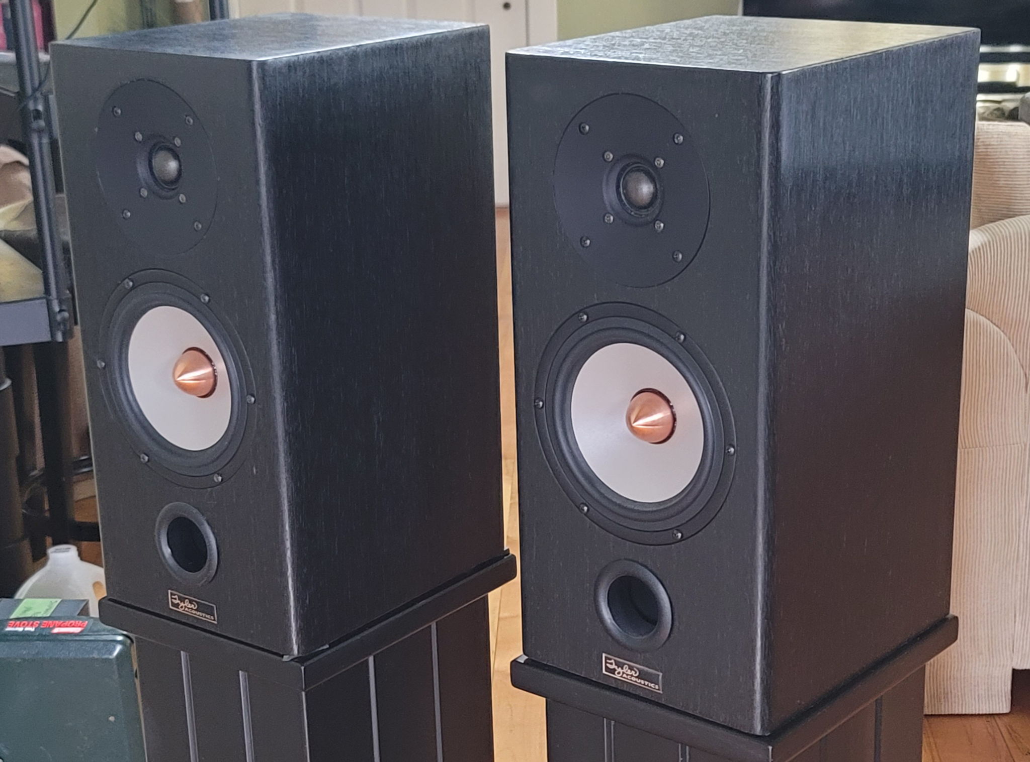 Tyler Acoustics Taylo Reference Monitors  (I'll include... 4