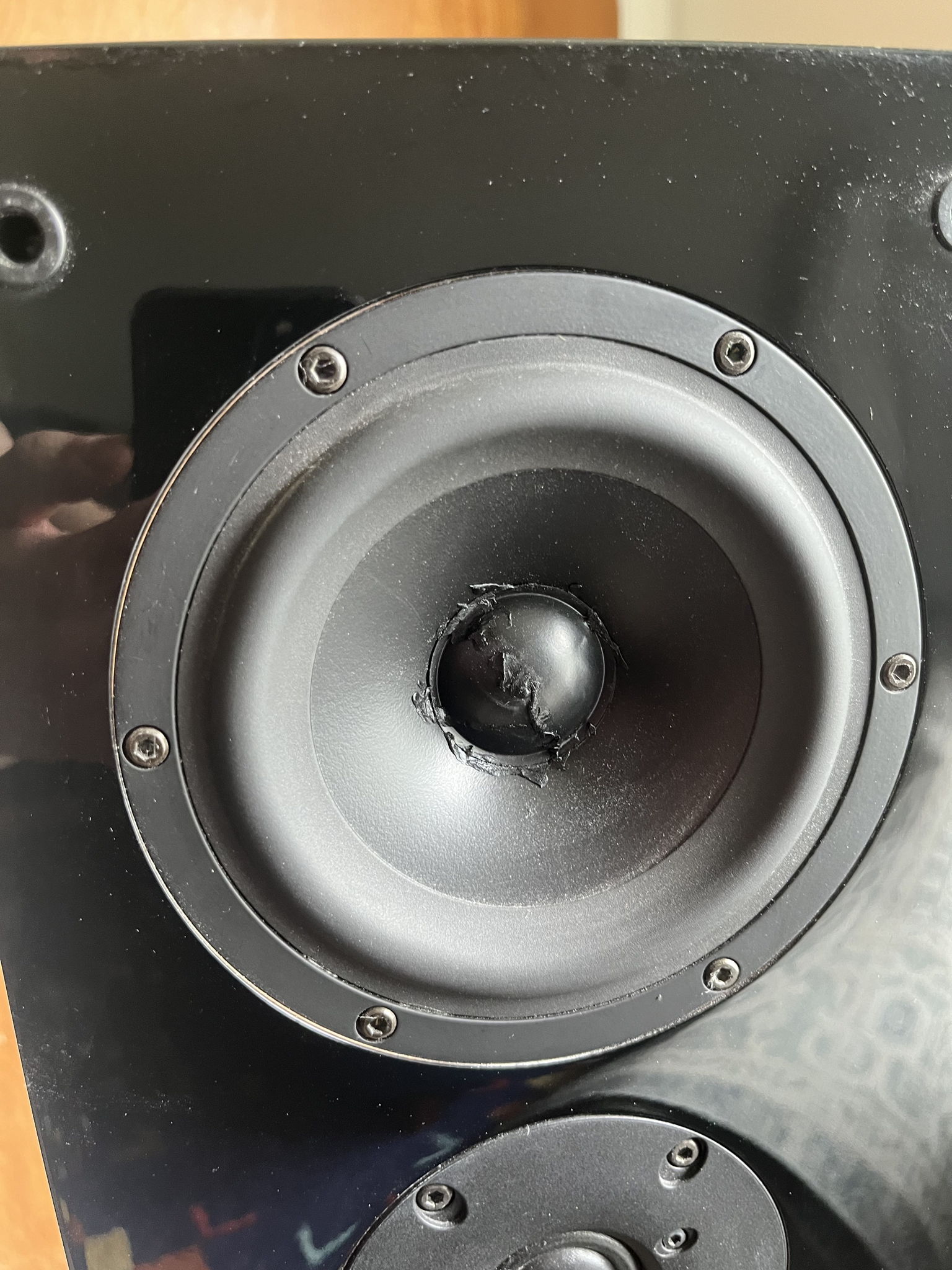 12 years ago one of the speakers made a buzzing sound and we had a professional audio technician repair it with special adhesive. They have been sounding perfect ever since.