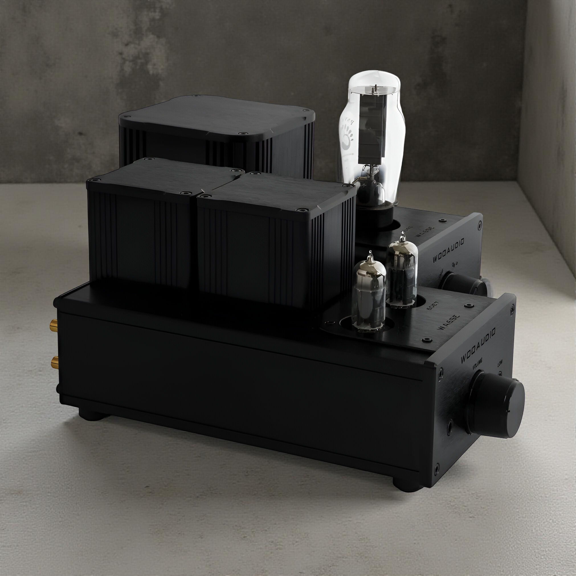 Woo Audio WA6-SE Special Edition Headphone Amplifier - ... 4