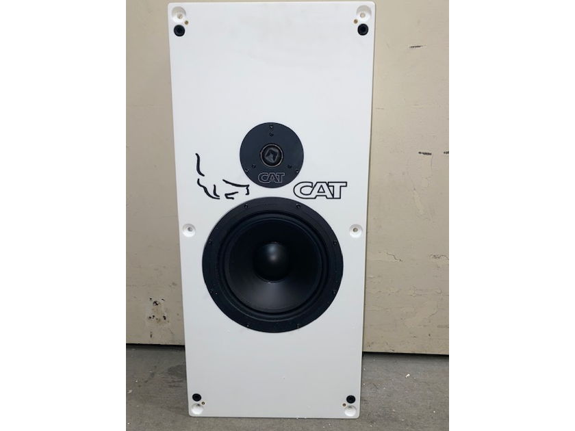 CAT In-Wall Speakers (Custom Made)