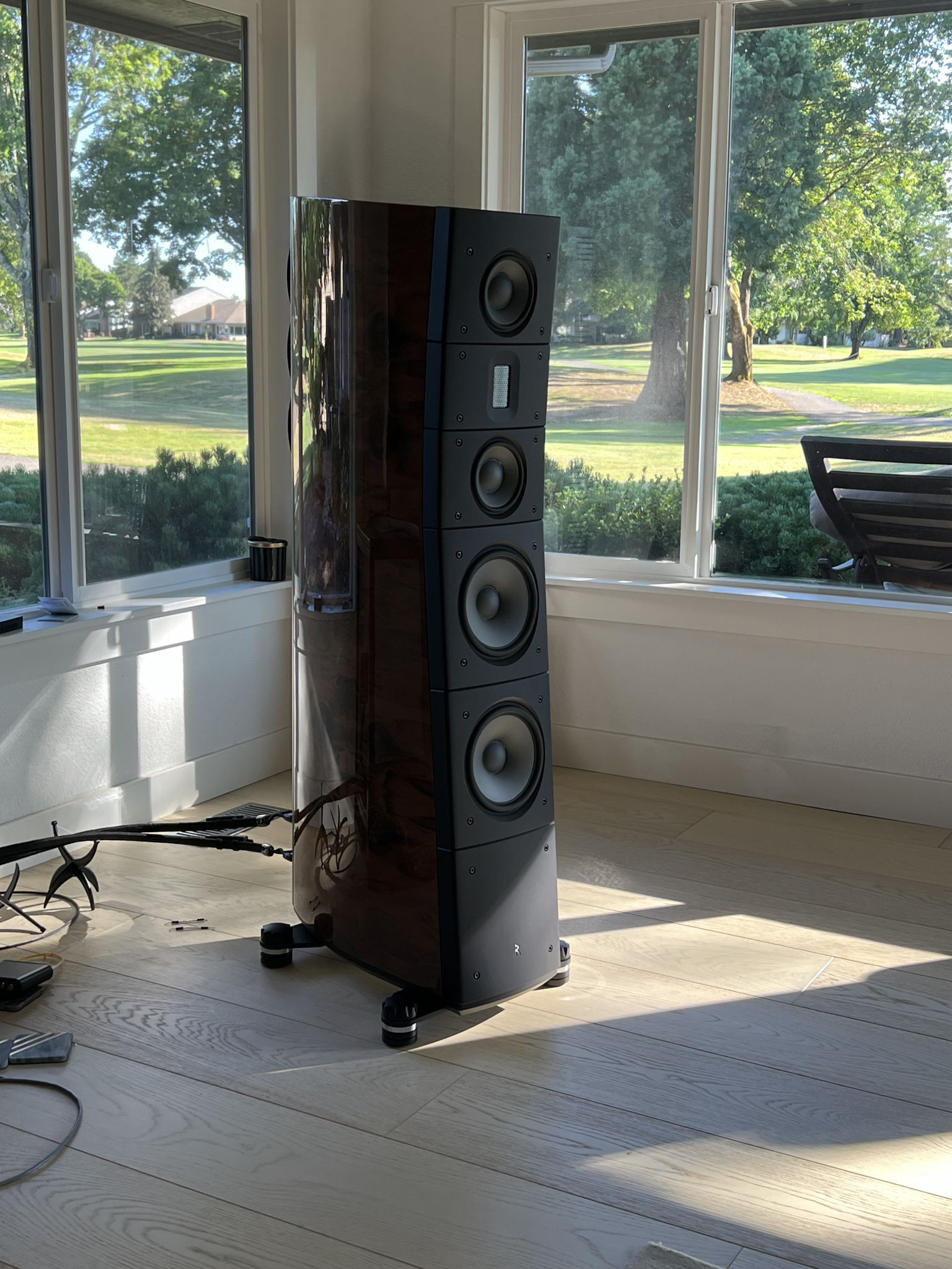 Raidho Acoustics TD 3.8's 5