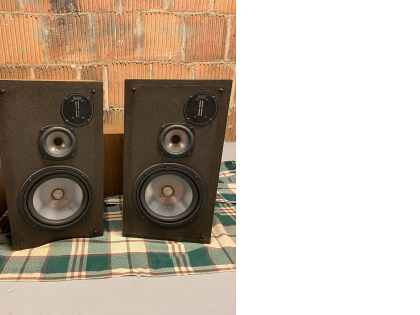 Infinity rsb speakers online