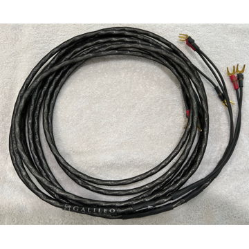 Synergistic Research Galileo Basik 10ft Speaker Cable –...