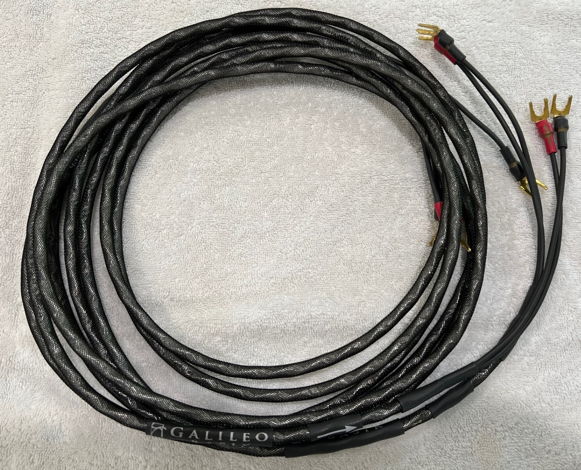 Synergistic Research Galileo Basik 10ft Speaker Cable –...