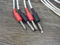 Crystal Cable Reference Diamond speaker cables 2,9 metre 3