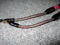 Tara Labs The 2 speaker cable 6