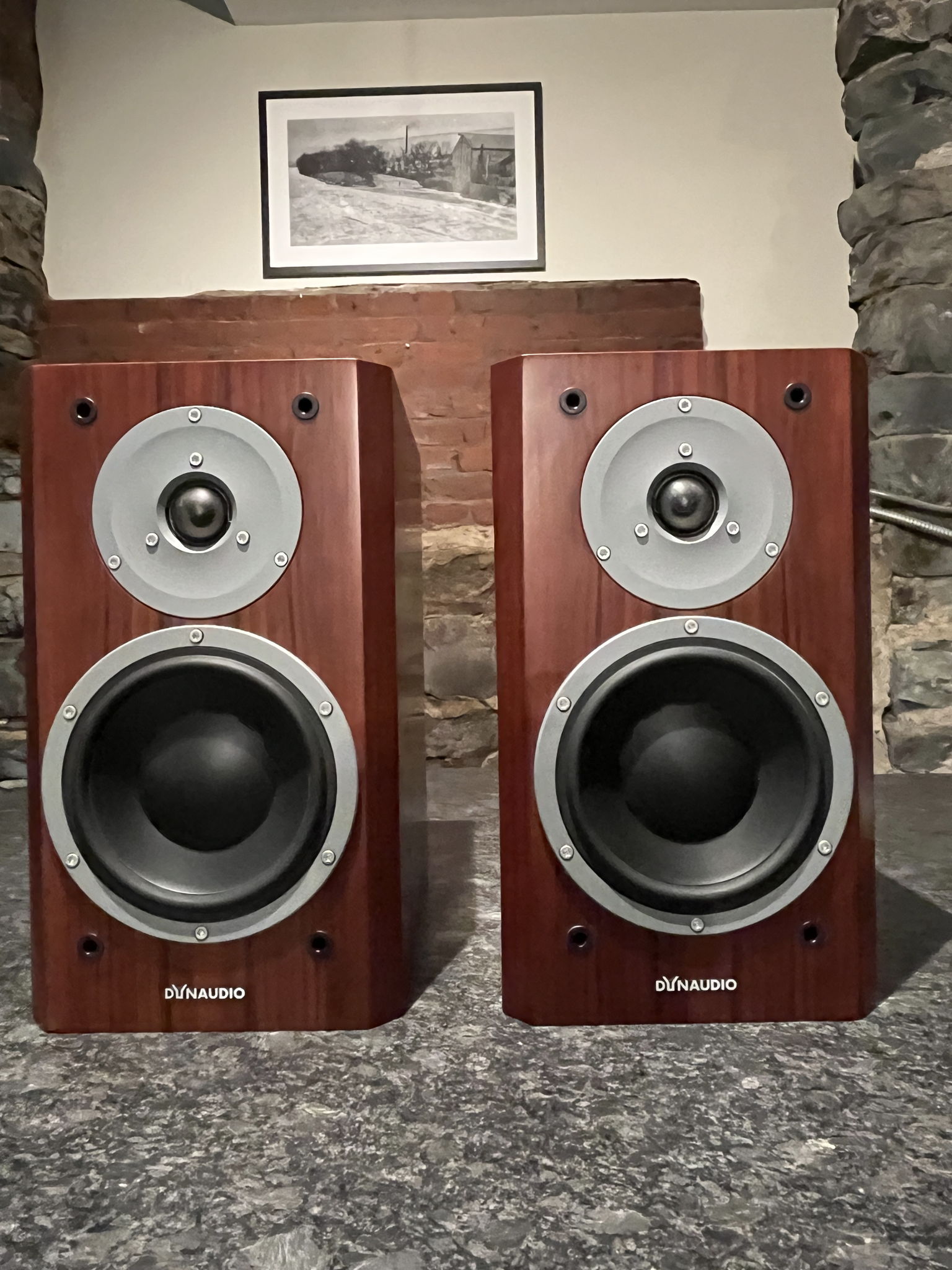 Dynaudio store focus 160